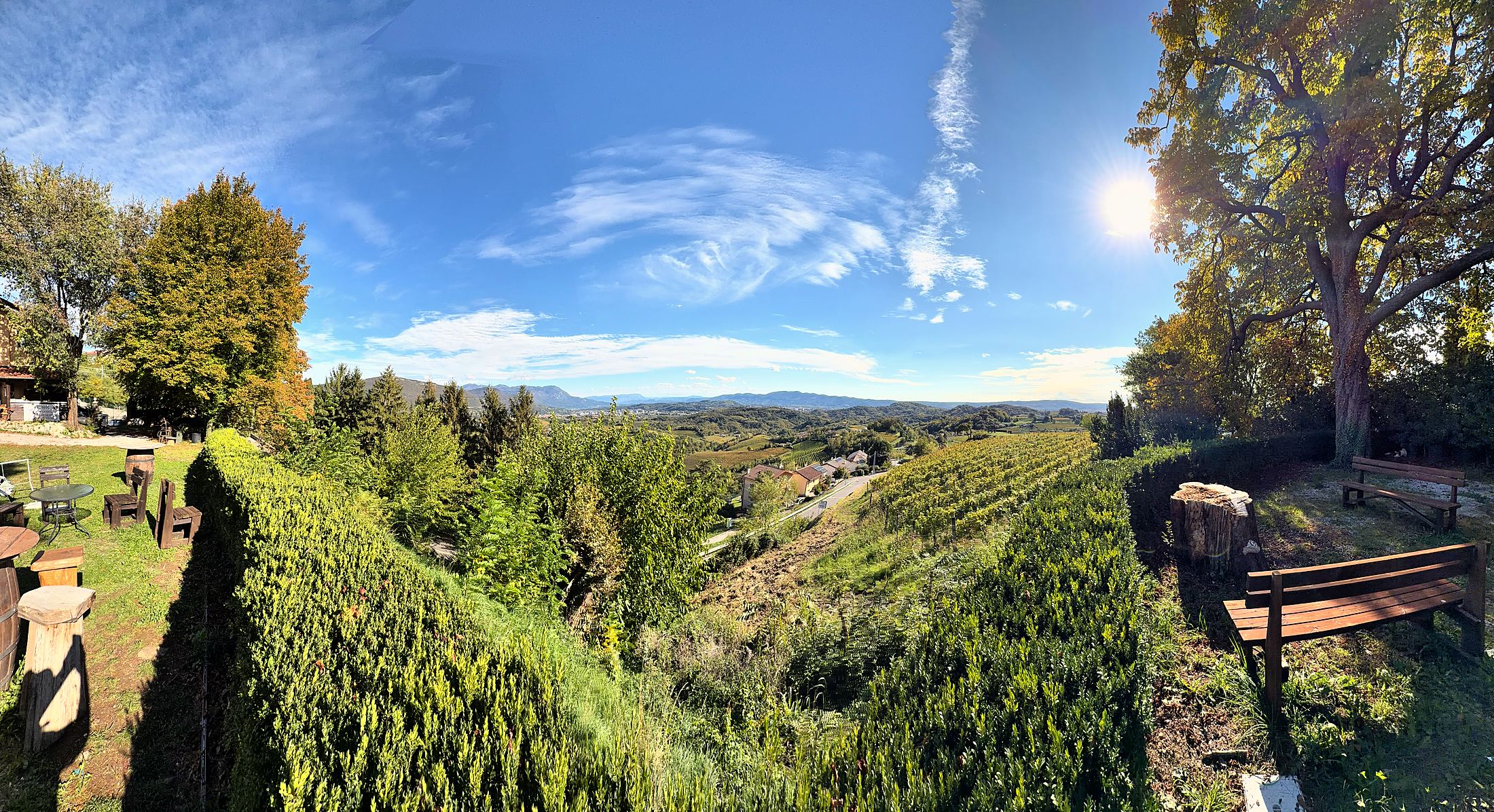 Dal giardino, il sole sui vigneti