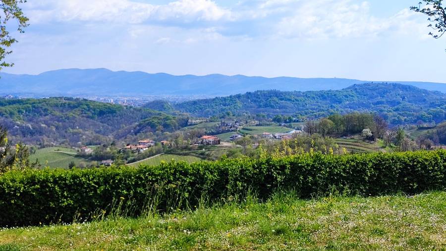 Le colline del Collio al mattino